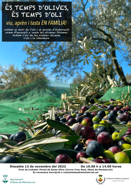 Cartell informatiu activitat amb fotografia de les oliveres i olives sobre una malla verda