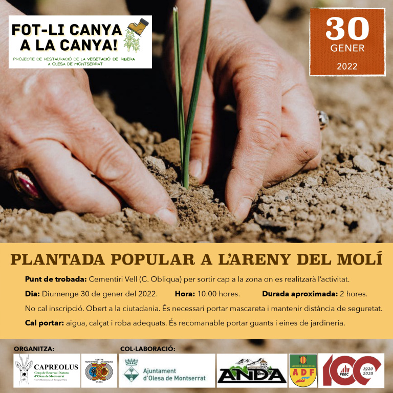 Cartell de la plantada popular amb la informació de l'activitat i fotografia d'unes mans plantant unes herbes