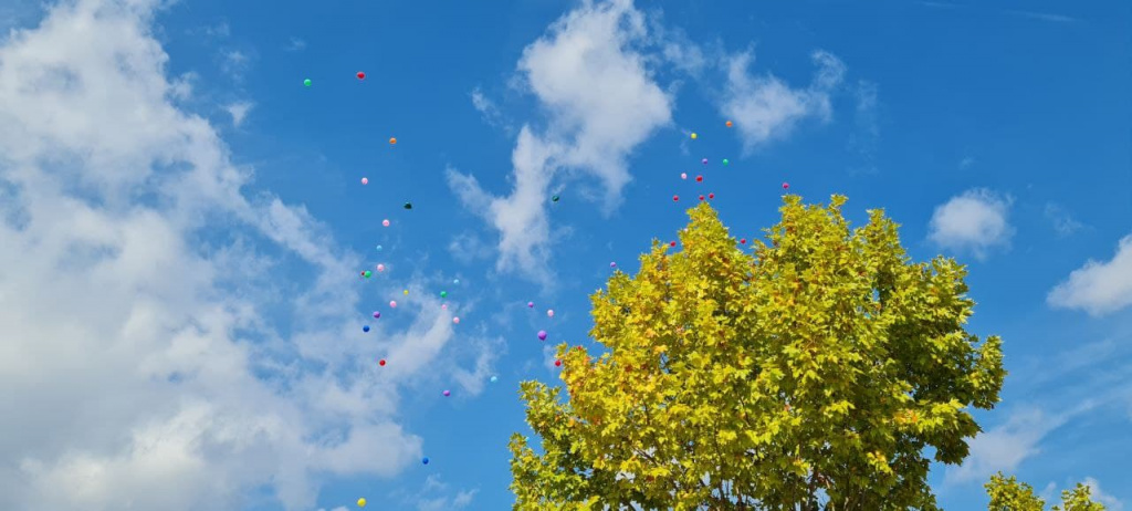 Vista del cel ple de globus de colors i un arbre