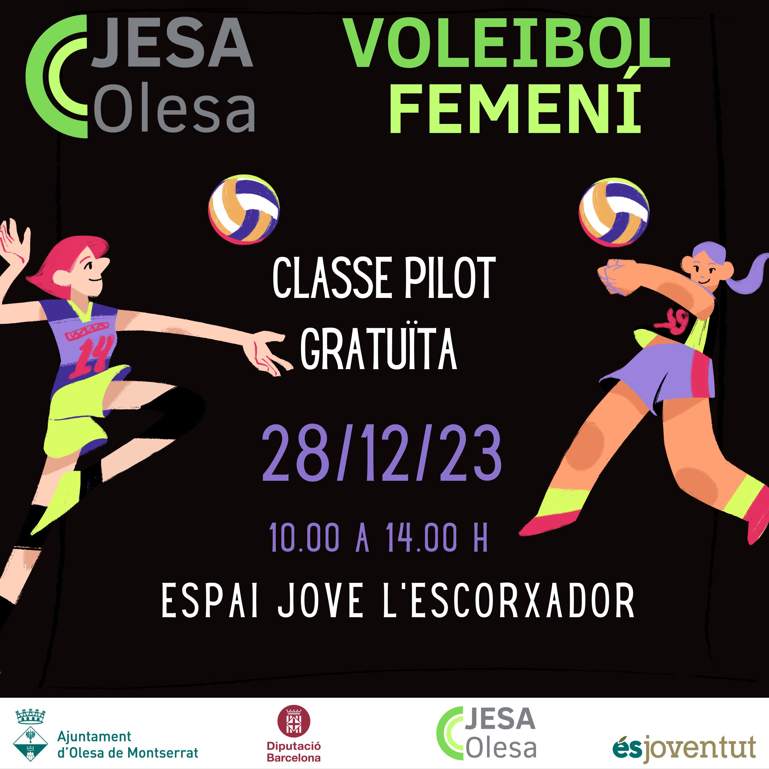 Cartell del curs de voleibol femení del projecte JESA 2023