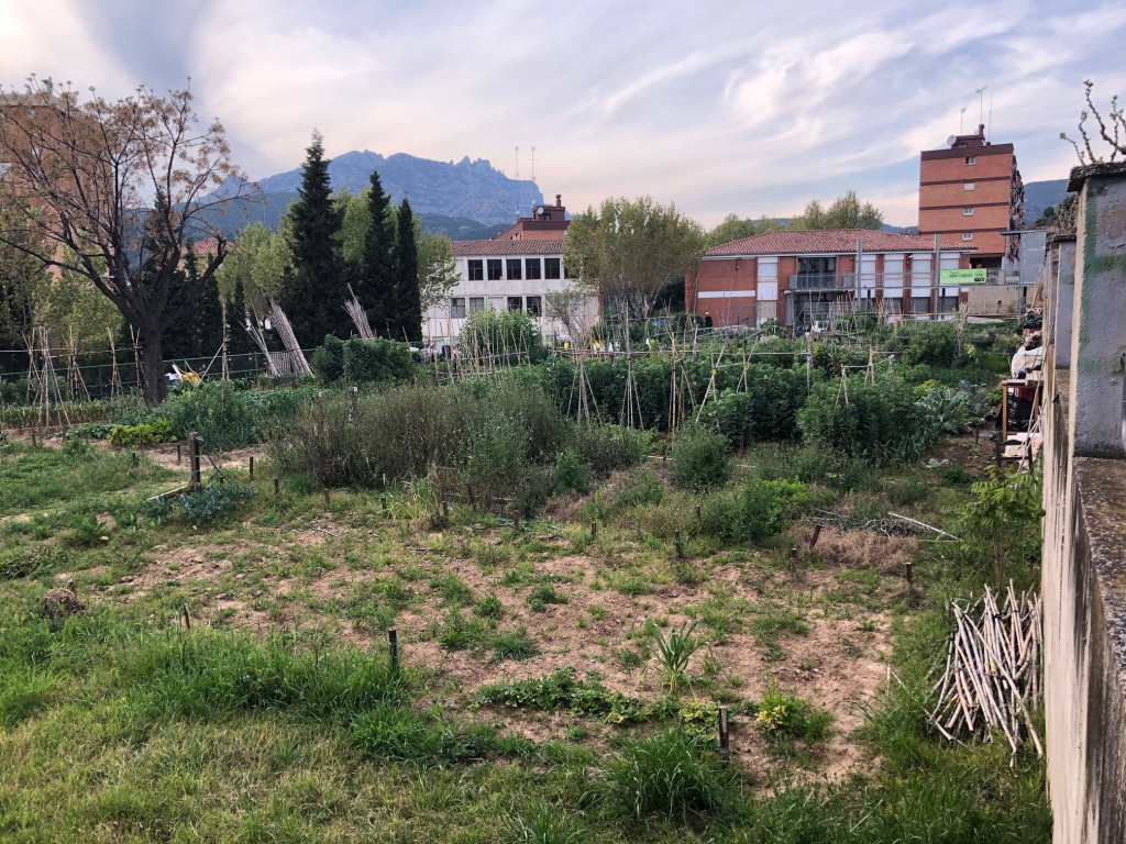 S'obre el termini per a la sol·licitud de parcel·les d’horts municipals a Olesa