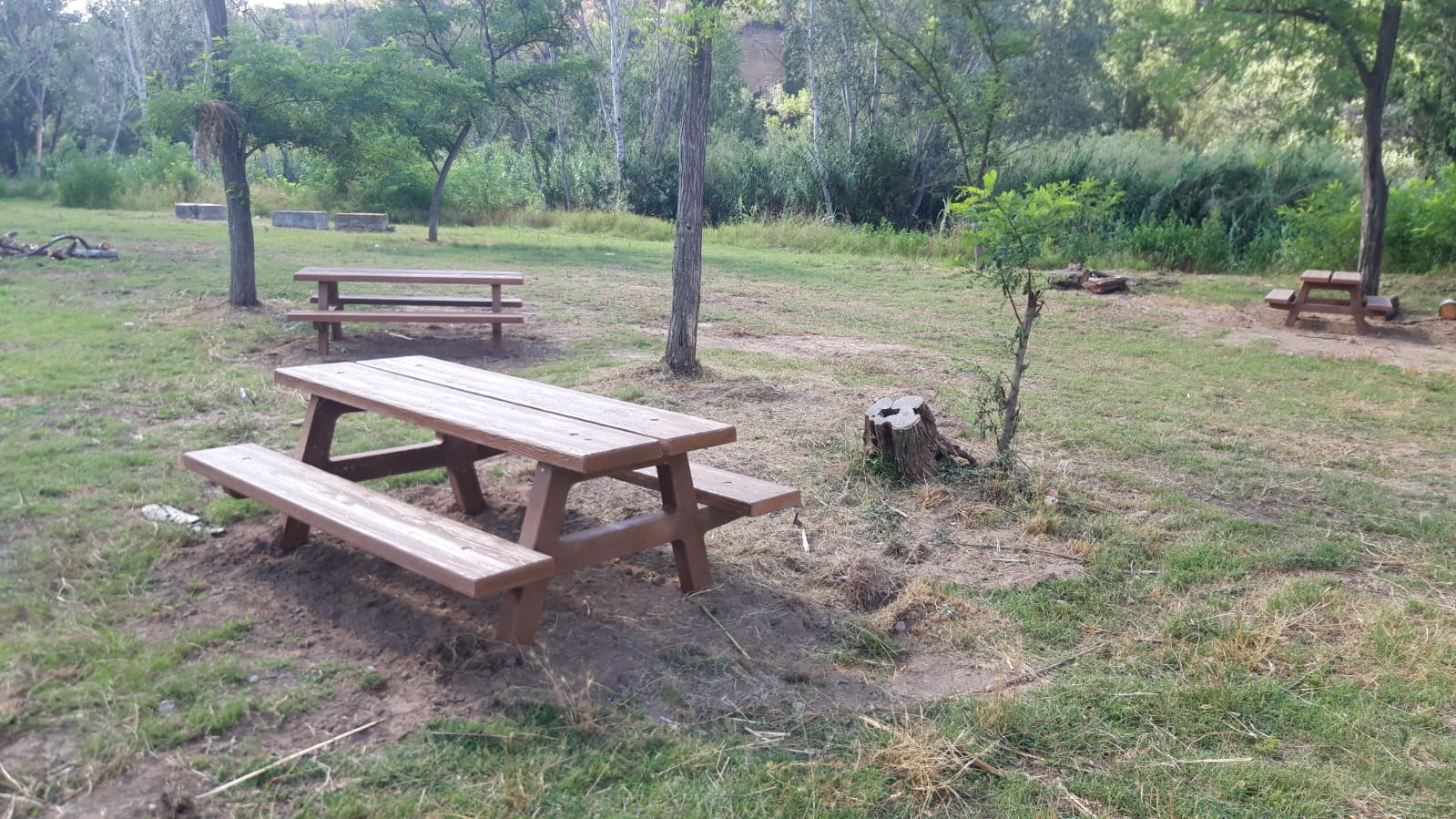 Renovació de les taules de la zona de pícnic de l'Areny del Molí