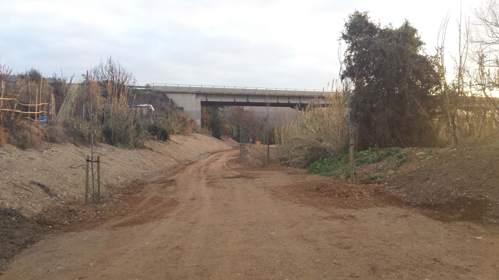 L’objectiu de l’actuació és fomentar el bosc de ribera propi de la zona i aturar la propagació de la canya americana, que és una espècie invasora i que pel seu creixement ràpid i exponencial posa en perill la ribera típica de la llera del Llobregat.