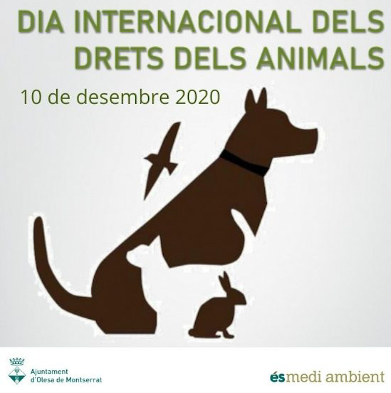 Olesa de Montserrat commemora el Dia internacional dels drets dels animals (2)