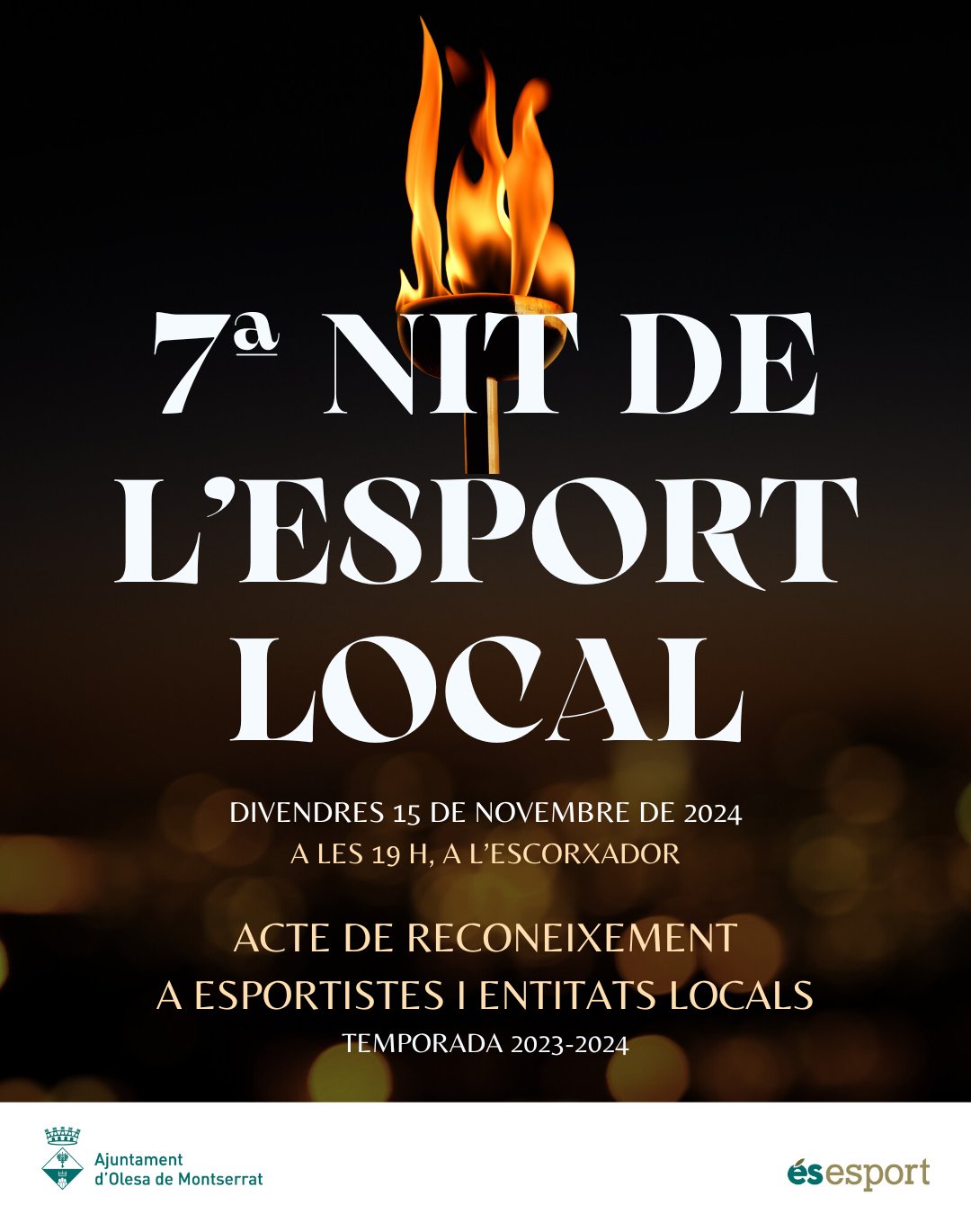 7a Nit de l'Esport Local 