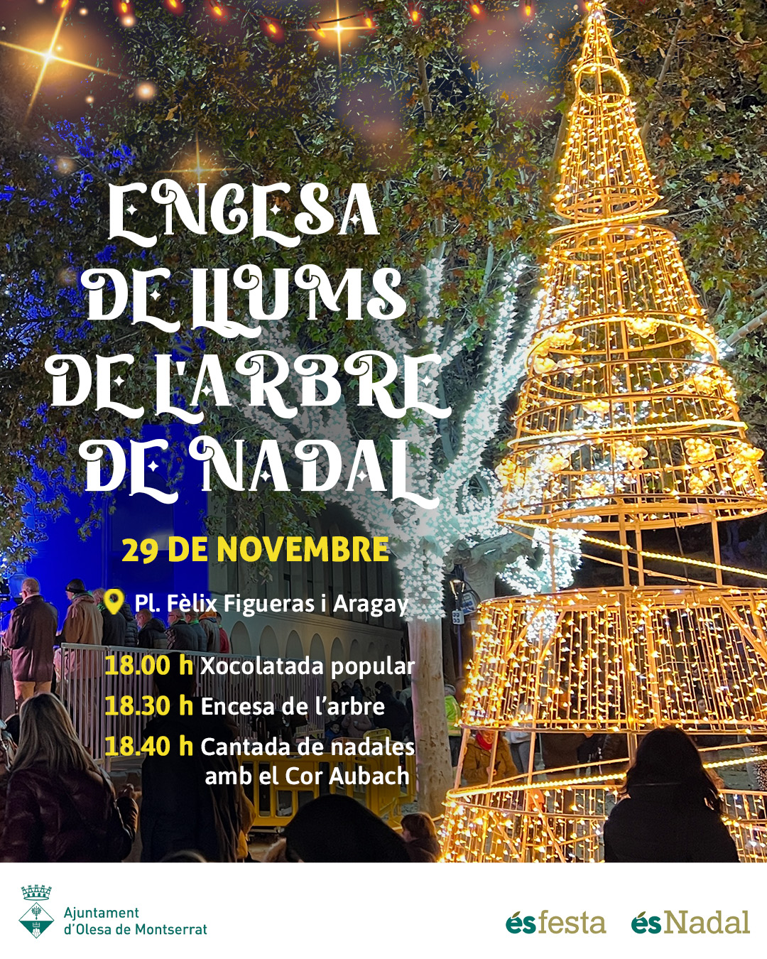 Cartell de l'encesa de llums de l'arbre de Nadal de 2024