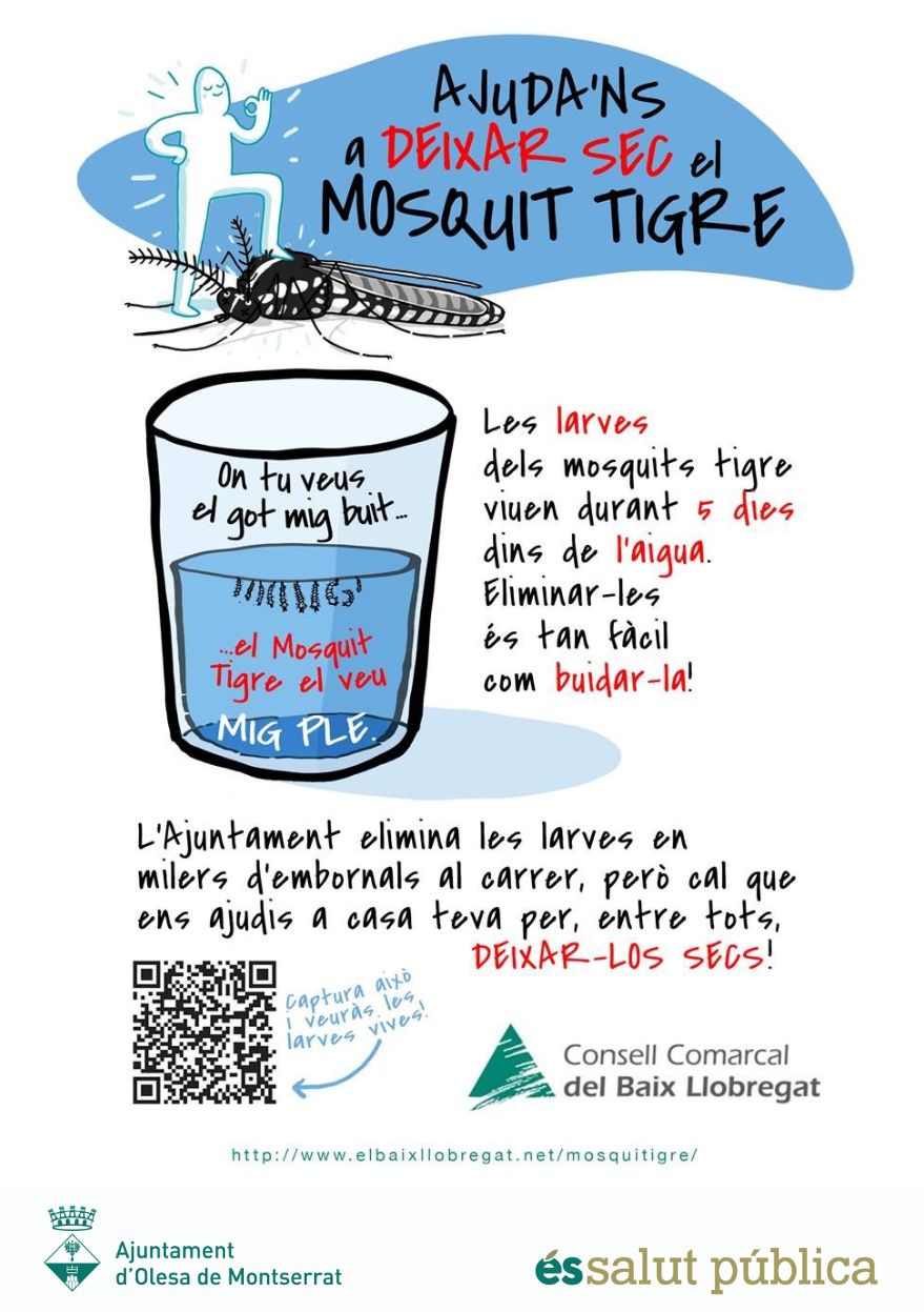 Cartell del prevenció del mosquit tigre 2024